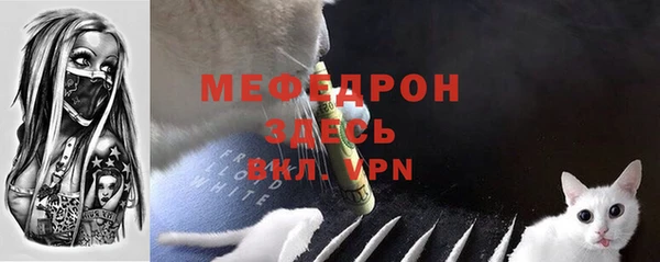 spice Богородицк