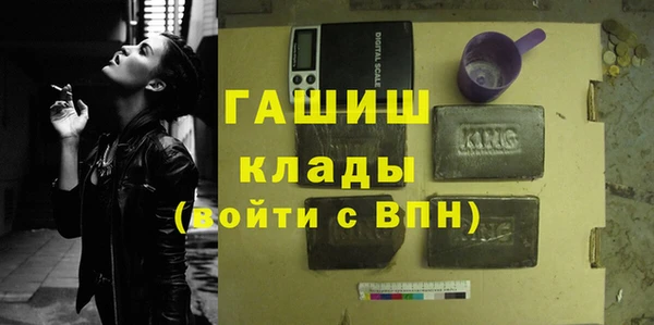 spice Богородицк