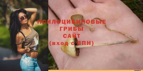 spice Богородицк