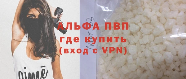 spice Богородицк