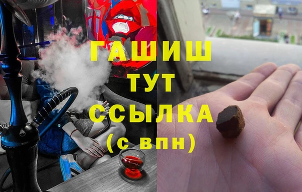 spice Богородицк