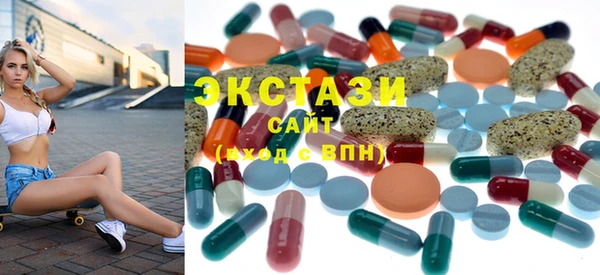 spice Богородицк