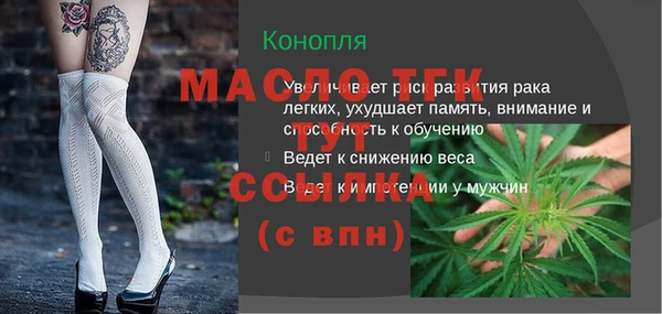 spice Богородицк