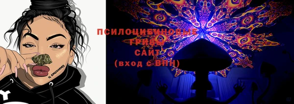 дживик Сясьстрой